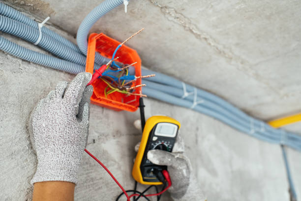 Best Outdoor Lighting Installation  in La Blanca, TX